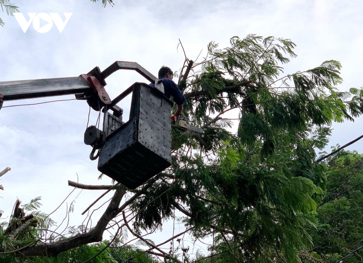 Hàng chục công nhân bậc cao giúp Huế khắc phục hệ thống cây xanh sau bão số 5