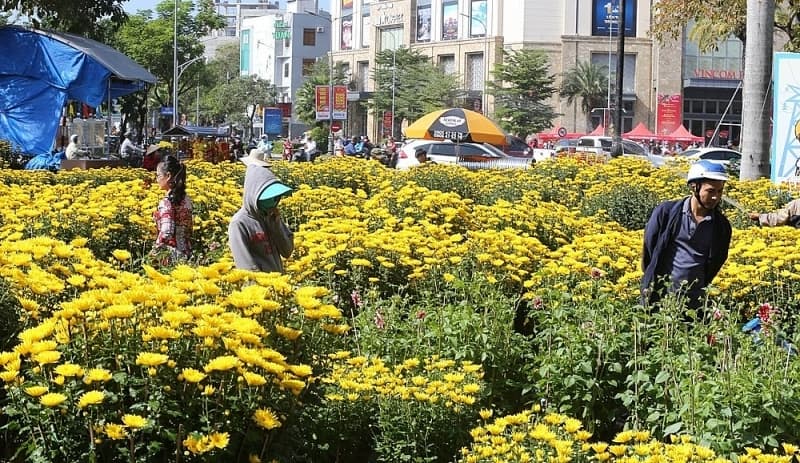 Thành phố Huế: Nghiêm cấm tổ chức bán hoa trên vỉa hè trong dịp Tết Nguyên đán Tân Sửu